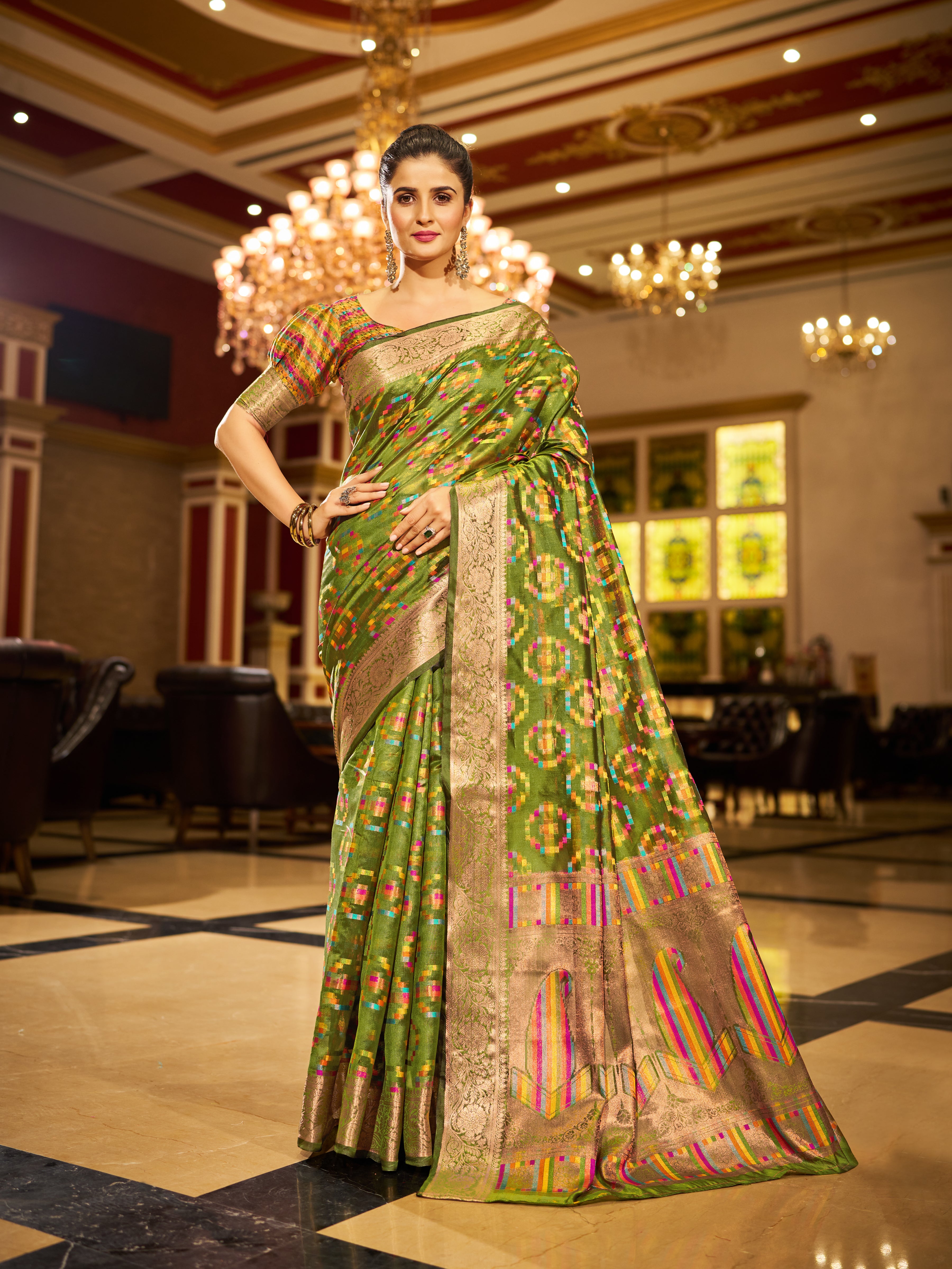 Organza Saree  - Perfect for Partywear / Bollywood