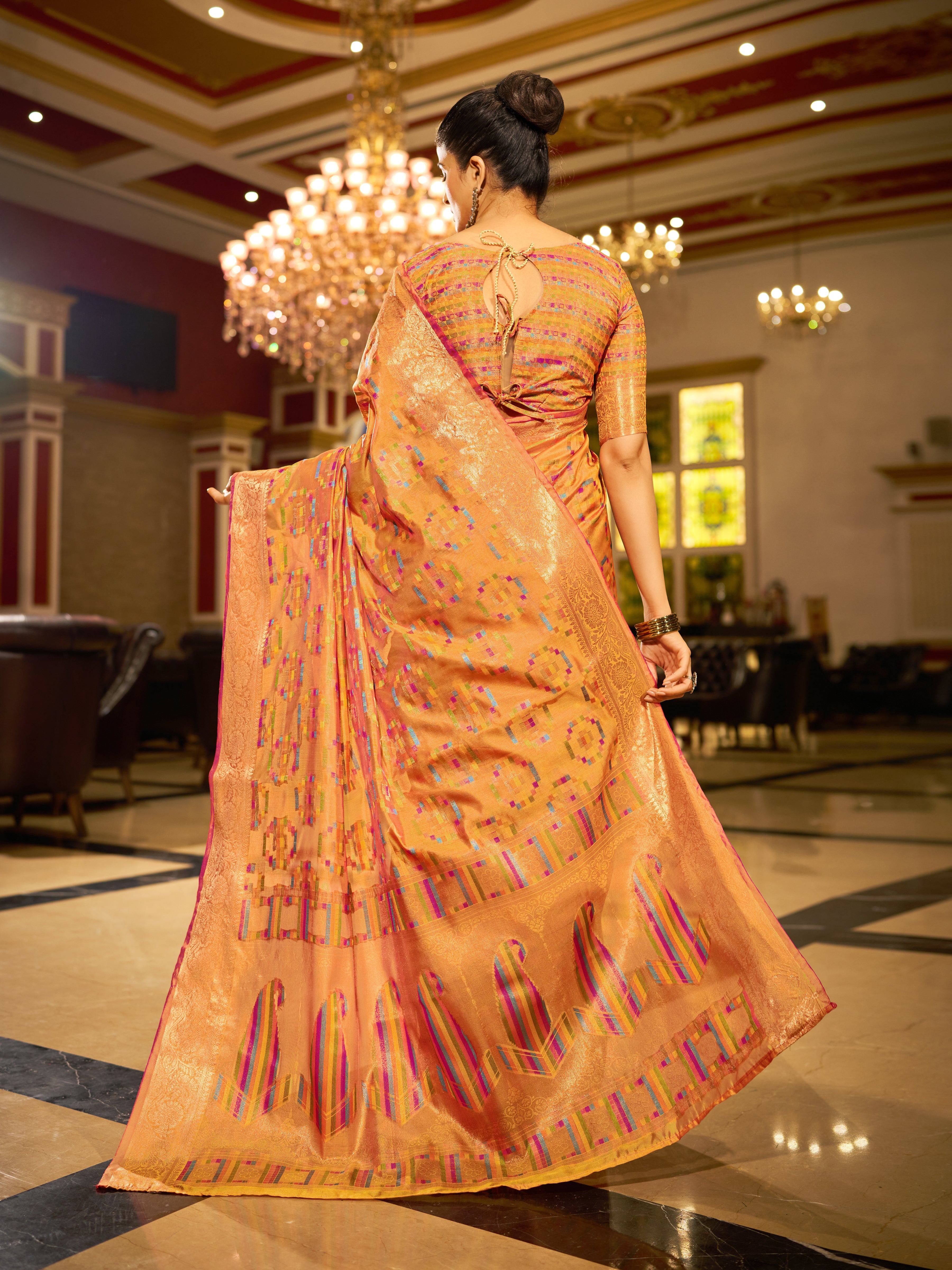 Organza Saree  - Perfect for Partywear / Bollywood