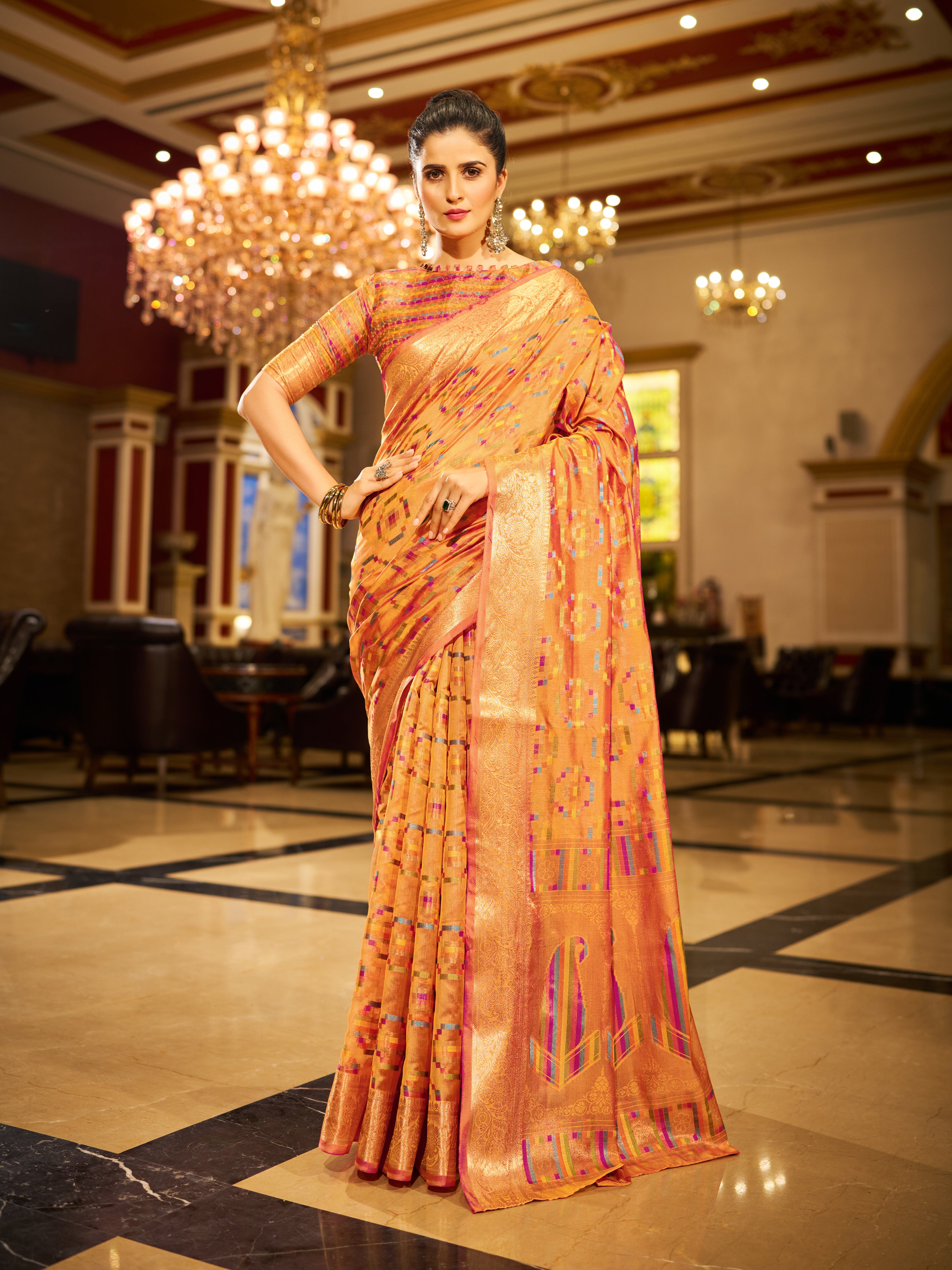 Organza Saree  - Perfect for Partywear / Bollywood