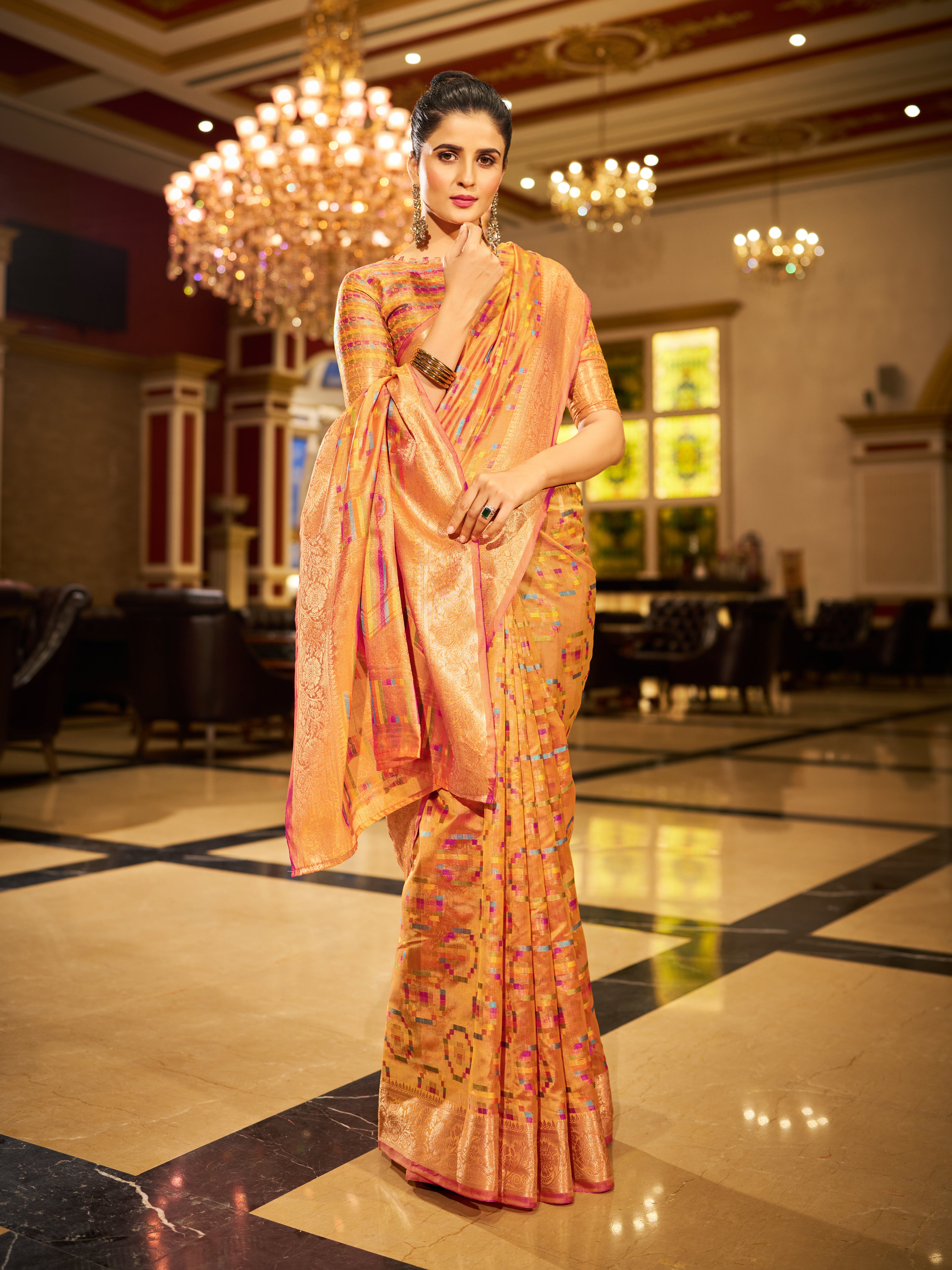 Organza Saree  - Perfect for Partywear / Bollywood