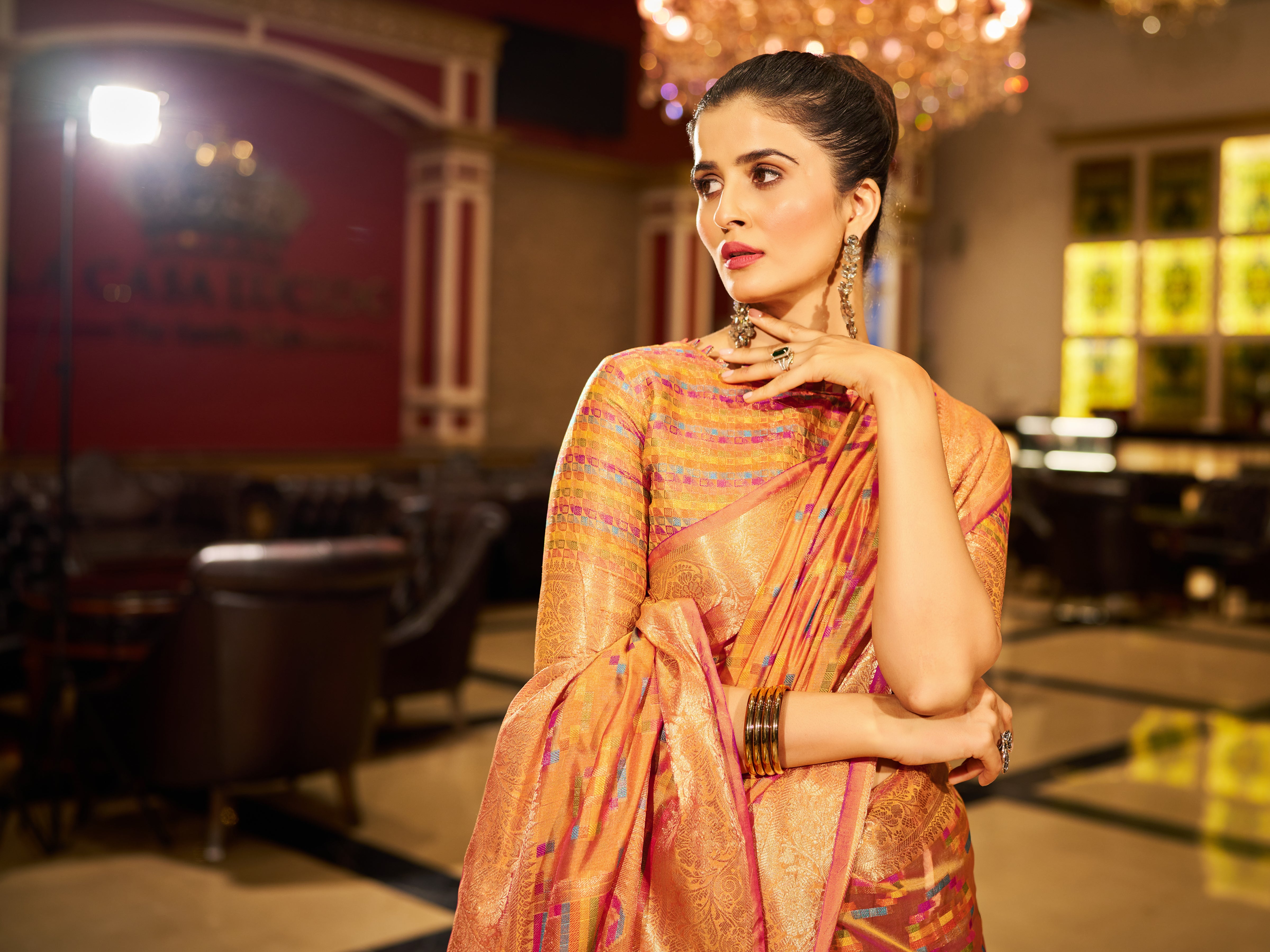 Organza Saree  - Perfect for Partywear / Bollywood