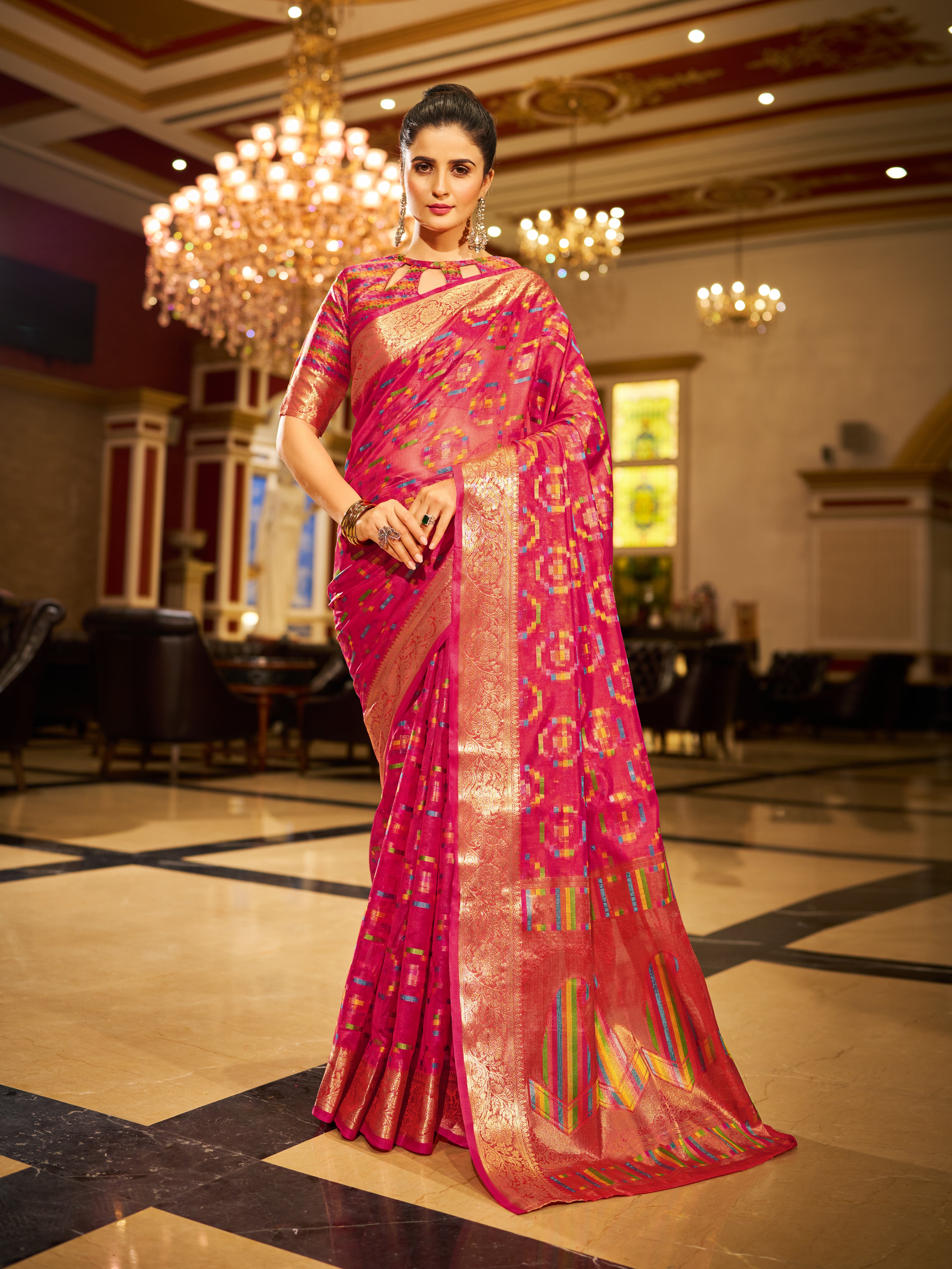 Organza Saree  - Perfect for Partywear / Bollywood