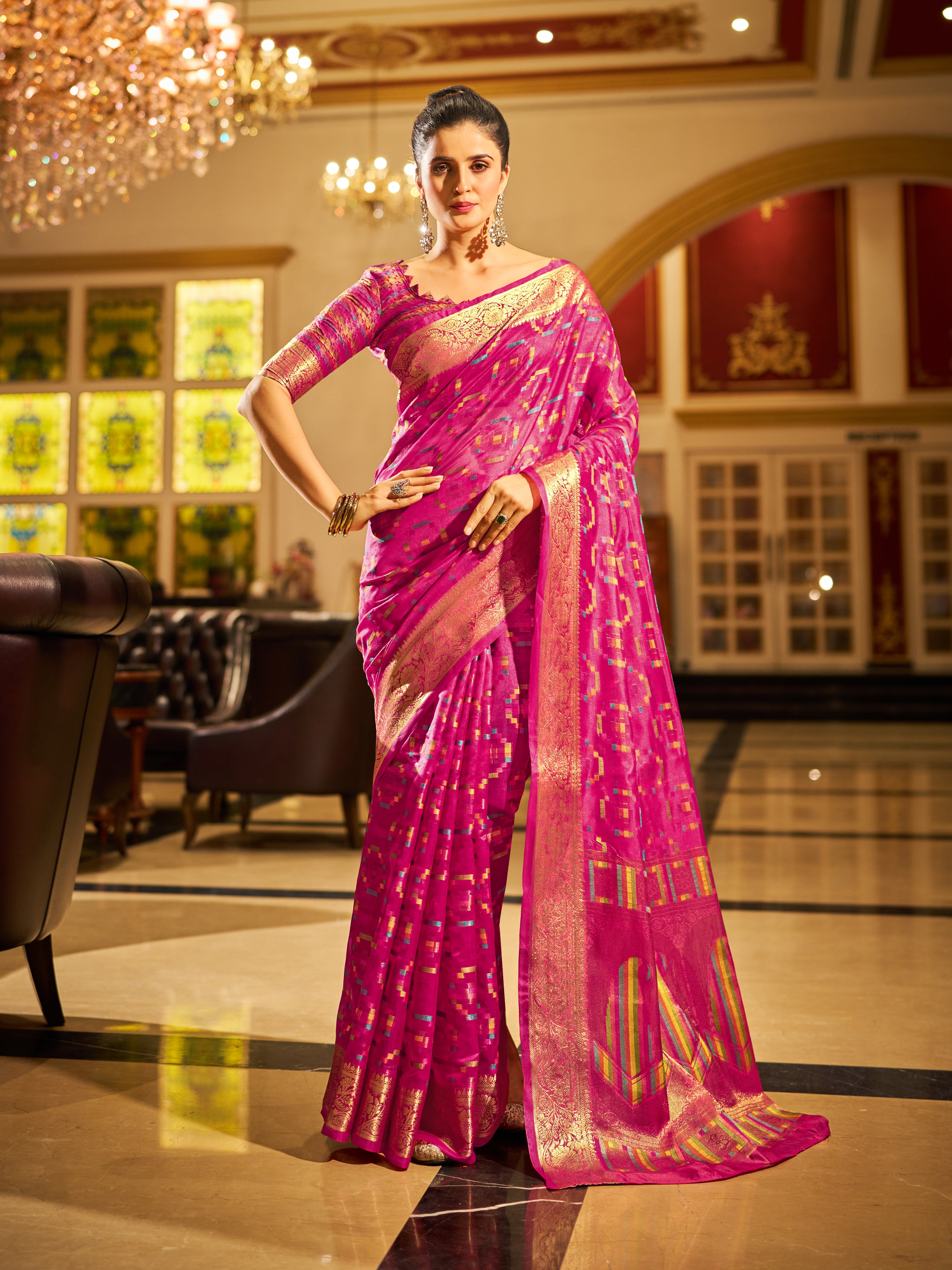 Organza Saree  - Perfect for Partywear / Bollywood